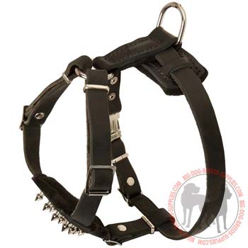 Dog leather harness for puppies