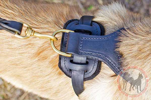 Dog harness with D-ring for a leash