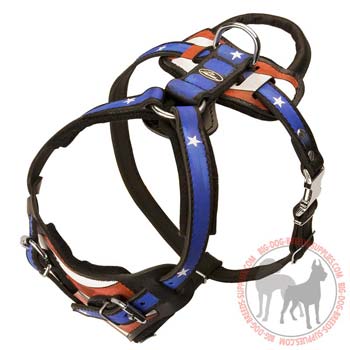 Durable leather handpainted dog harness  