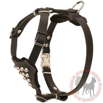 Leather harness for puppy equipped with studs