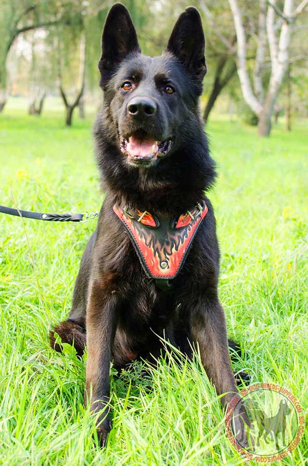 Decorated Leather Dog Harness for German Shepherd stylish Walking