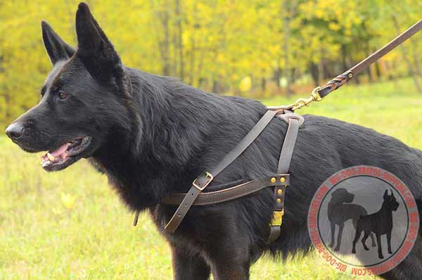 Dog Leather Harness for German Shepherd Walking