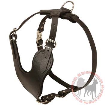 Leather Harness for Dog Training