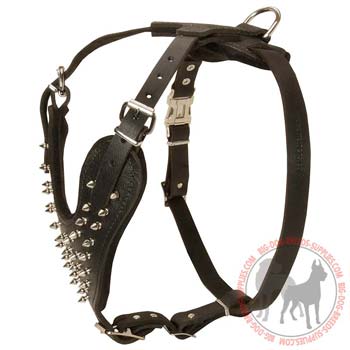 Leather Dog Harness with Padded Chest Plate