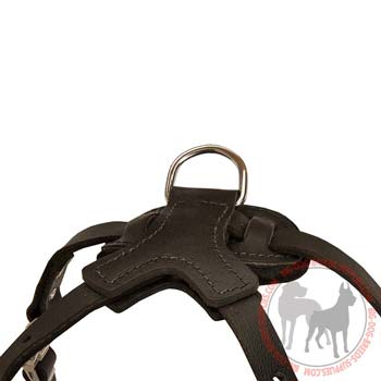 Comfy D-ring for Leash Attachment