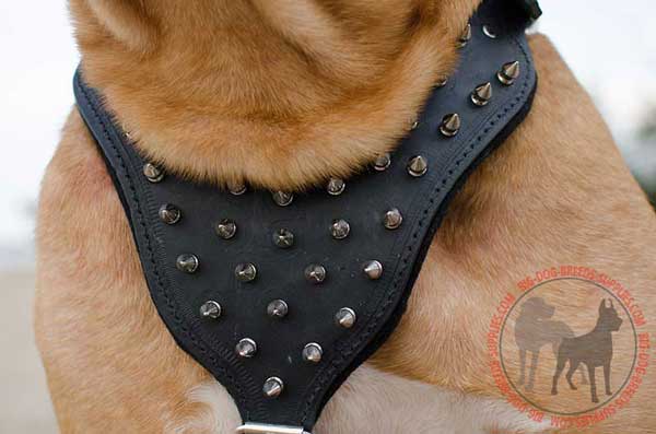 Padded Chest Plate with Spikes