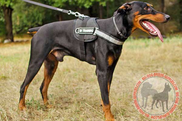 Doberman Nylon Harness with Reflective Strap and Patches