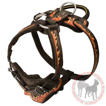 Leather harness for dog training or walking