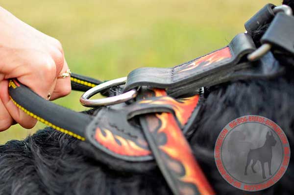 Leather Handle Strong for Being in Due Control of Powerful Canine