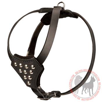 Dog Puppies Leather Harness with Studs