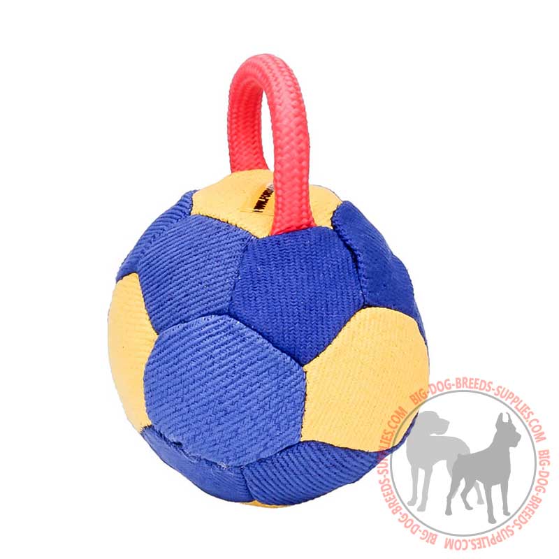 Large dog clearance ball with handle