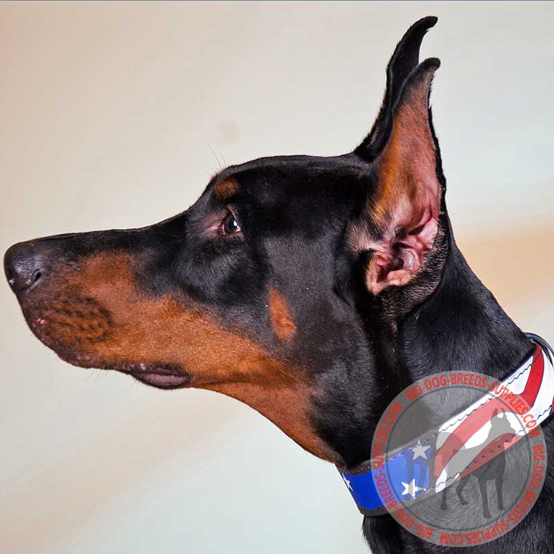 Get American Flag Painted Leather Doberman Collar Dog Walking