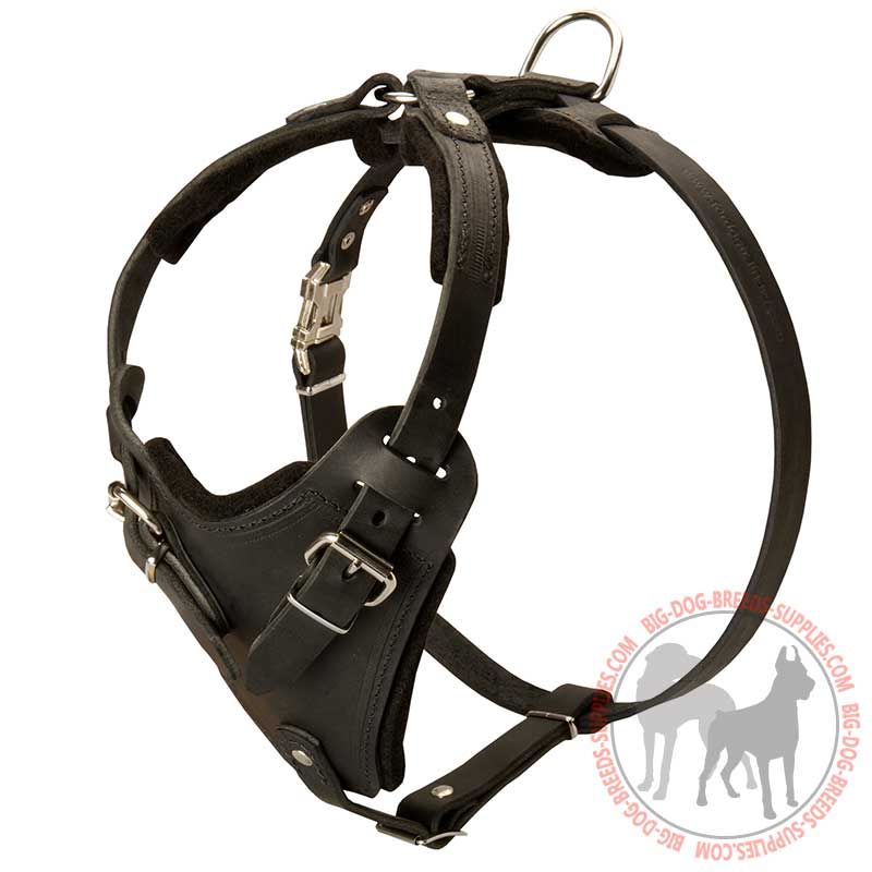 Classic Leather Harness For Big Dogs-German Shepherd harness : German  Shepherd Breed: Dog harnesses, Muzzles, Collars, Leashes