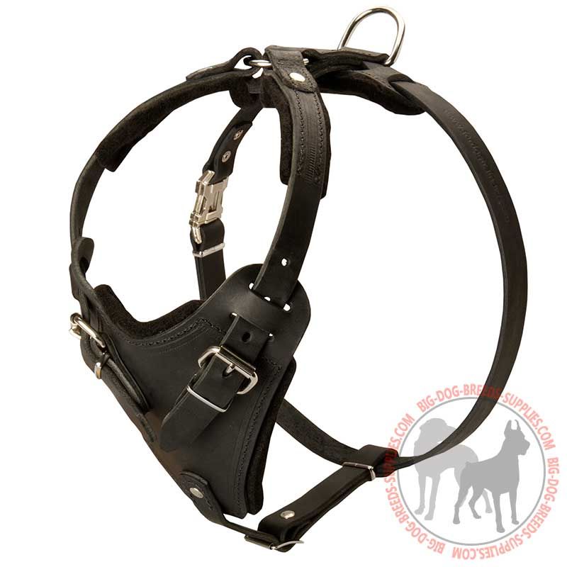 are leather harness good for dogs