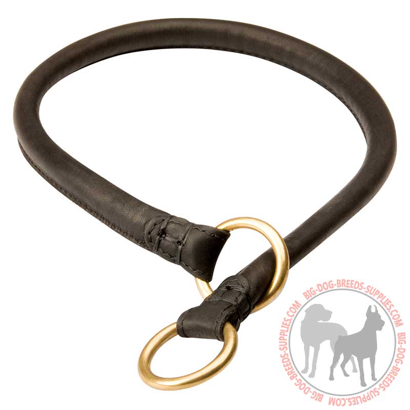 Large dog 2024 choke collar