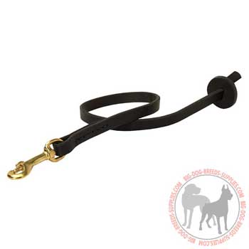 Dog Leather Leash for Better Control