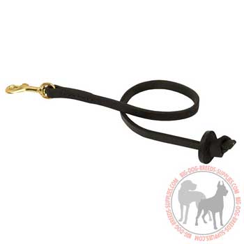 Dog Leather Leash with Gold-like Snap Hook