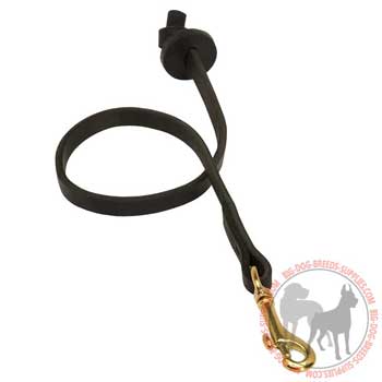 Dog Leather Leash with Comfy Handle