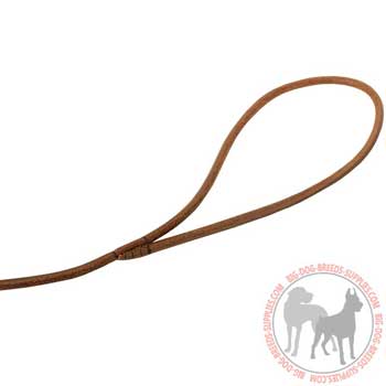 Dog Leather Leash with Loop for Comfy Handling