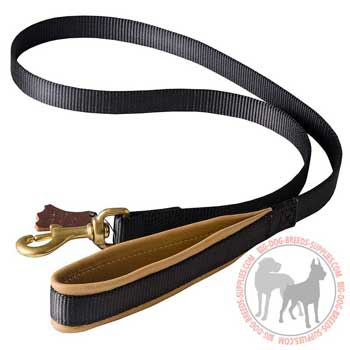 Dog nylon leash with padding on the handle