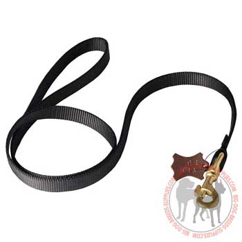 Dog leash nylon heavily stitched for durability