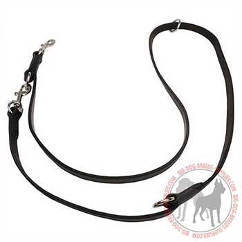 Dog Leather Leash with Stainless Hardware