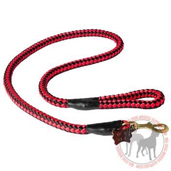 Handcrafted nylon dog leash for large and strong canines