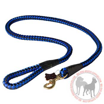 Functional cord type dog nylon lead helps in handling hyperactive canines