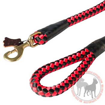 Strong handle and rustproof snap hook of nylon dog leash