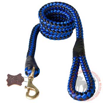 Special walking blue-black nylon dog leash