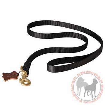 Nylon heavy duty dog leash resistant to tear and wear