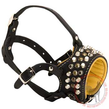 Muzzle for dogs with padding on the front part