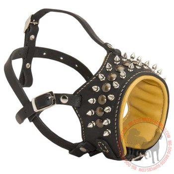 Leather dog muzzle for solving barking problems