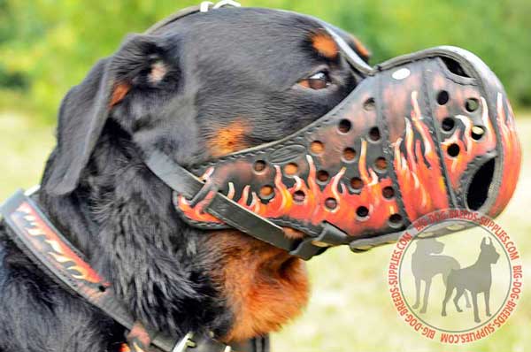 Best Hand-painted Agitation Training Dog Muzzle for Rottweiler Breed 