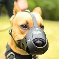Leather Pitbull Muzzle for Anti-Barking Training  Leather Pitbull Muzzle for Anti-Barking Training